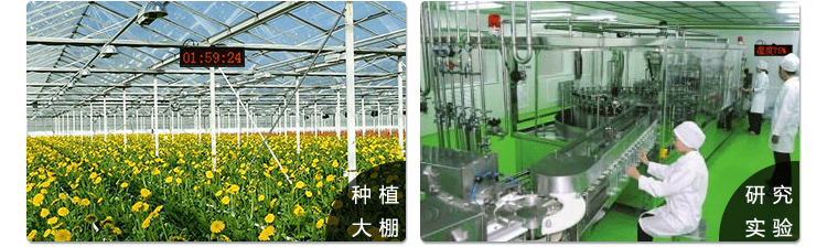 溫濕度點(diǎn)陣時(shí)間屏應(yīng)用場(chǎng)景